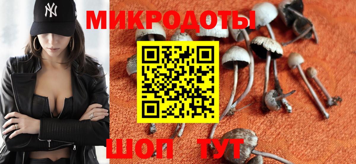 Волоколамск  Псилоцибиновые грибы Psilocybe  Вход с VPN  Галлюциногенные грибы прущие грибы 