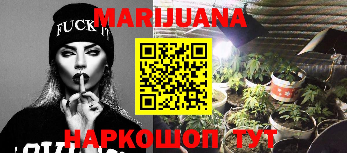 Конопля планчик Волоколамск